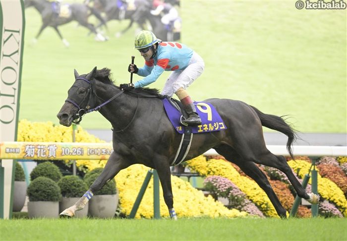 【期限切れ単勝馬券】　サラ系2歳新馬　デュランダル　ウマ娘 ウマ娘】デュランダル(星3)の評価とイベント - ゲームウィズ